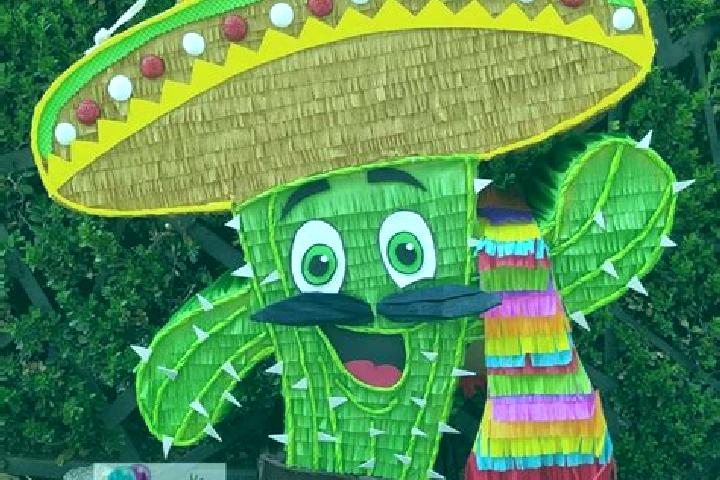 escort Boca Nopal