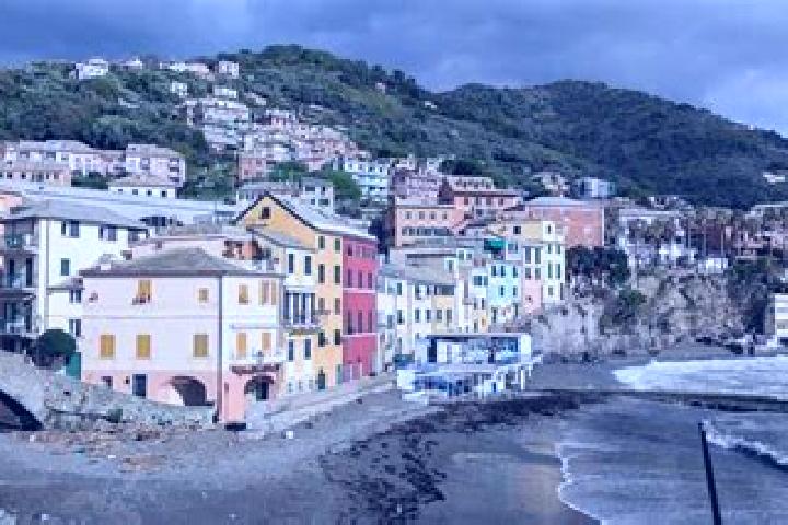 escort Bogliasco