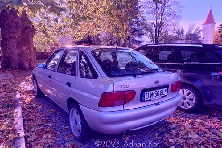 escort Bolsward