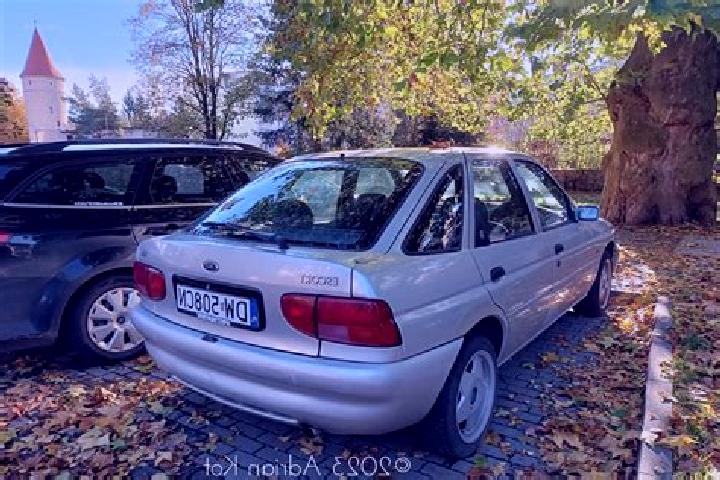 escort Bordesti