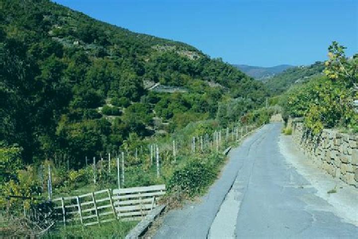 escort Bordighera