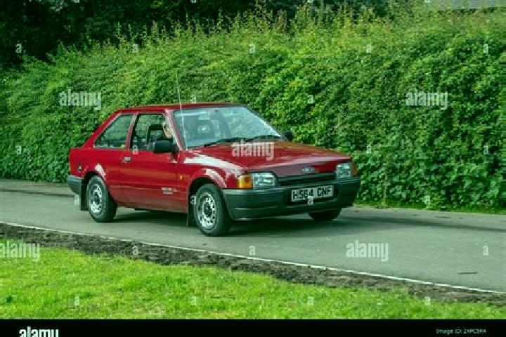 escort Borehamwood