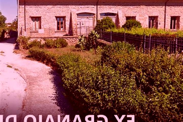 escort Borgo Montello
