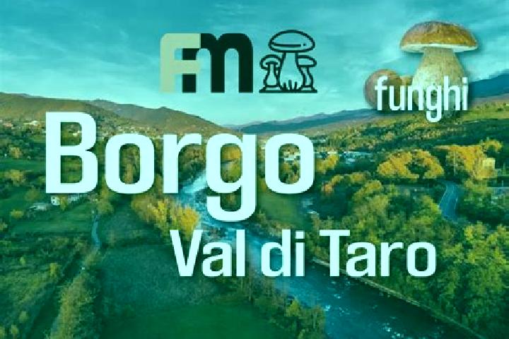 escort Borgo Val di Taro