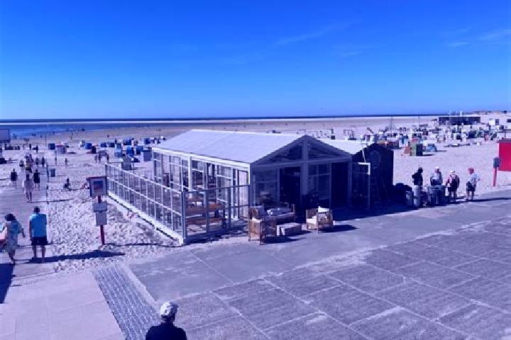escort Borkum