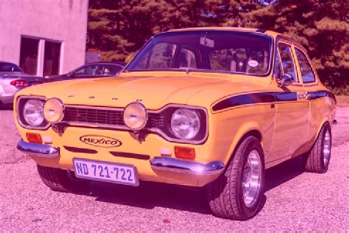 escort Borsbeke