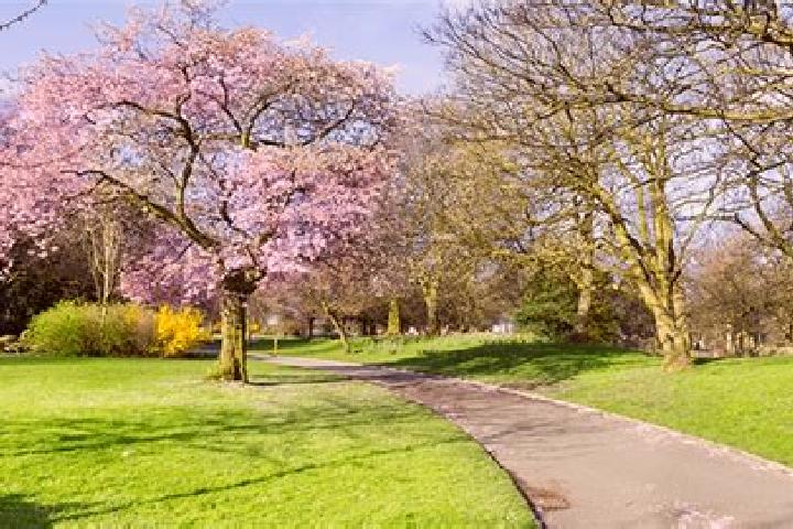 escort Bossley Park
