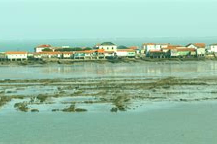 escort Bourcefranc-le-Chapus