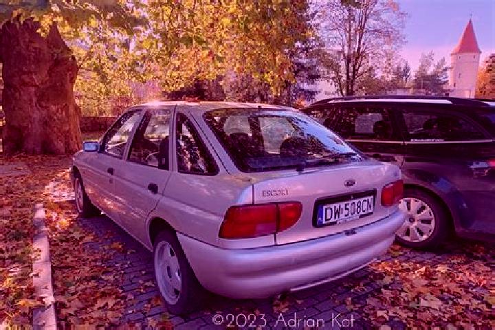 escort Bovolenta