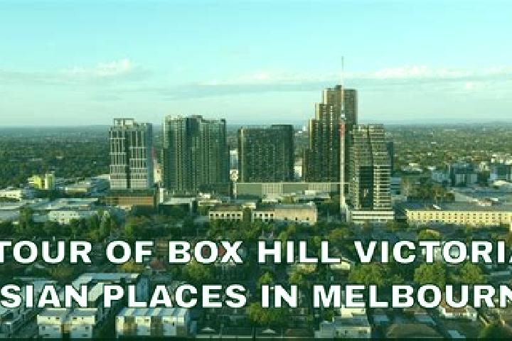 escort Box Hill South