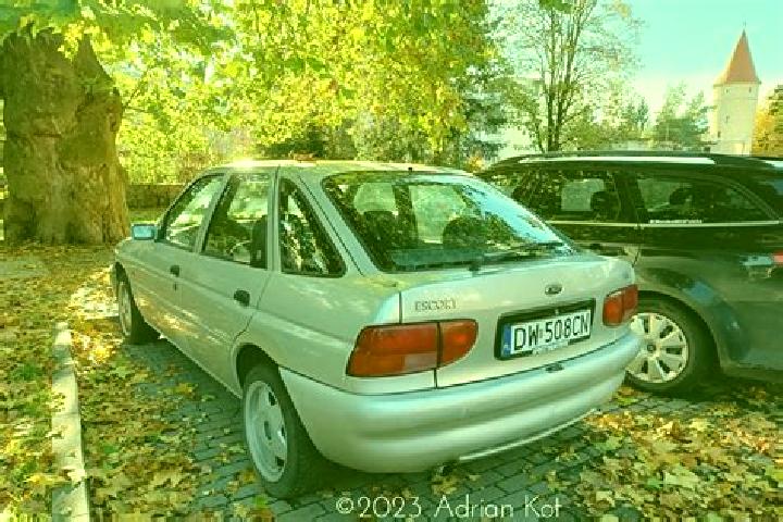 escort Bozovici