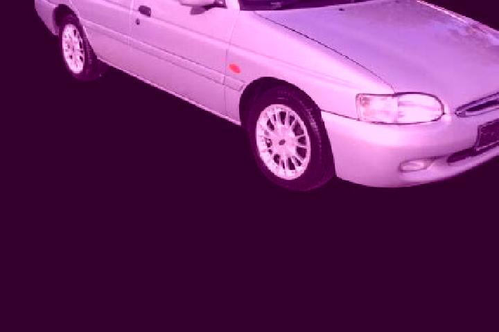 escort Bragadiru