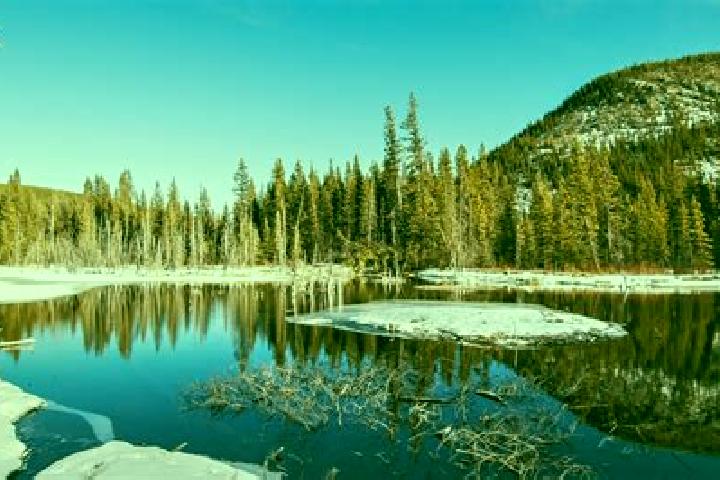 escort Bragg Creek