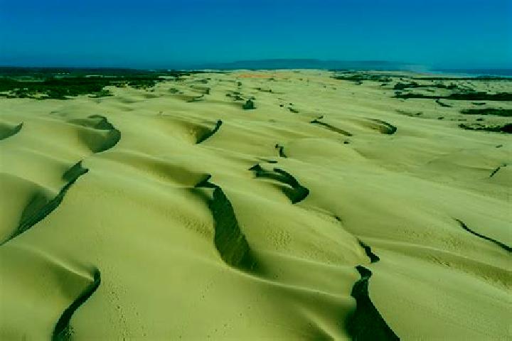 escort Bray-Dunes