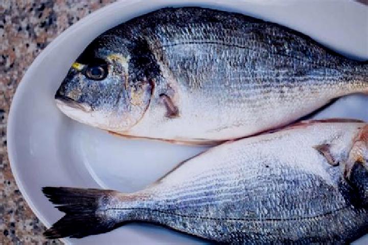 escort Bream