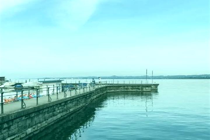 escort Bregenz