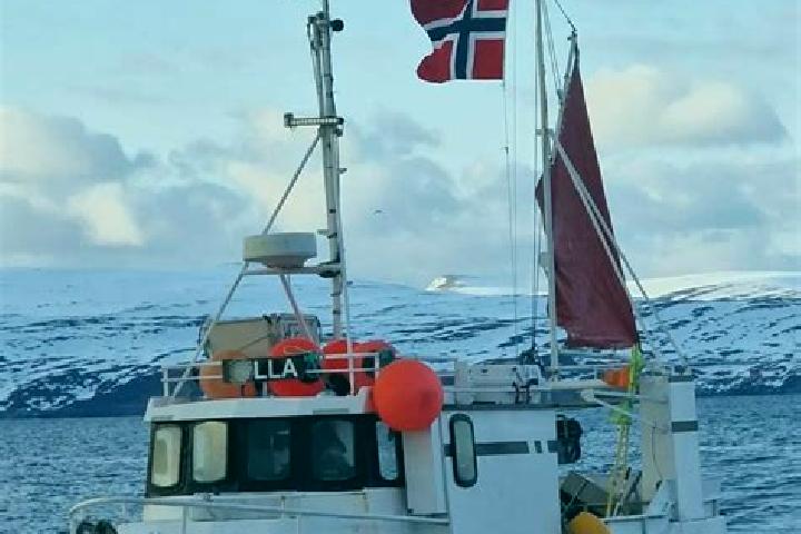 escort Breivikbotn