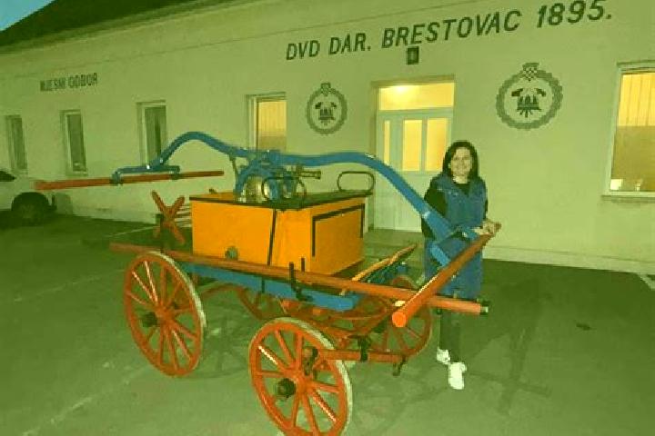 escort Brestovac Daruvarski