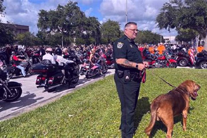 escort Brevard