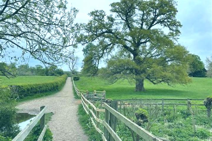 escort Bricket Wood