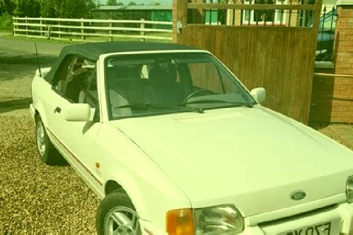 escort Bridgwater Forest