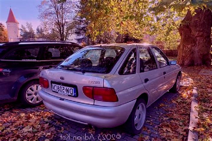 escort Brienza