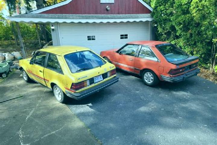 escort Brillion
