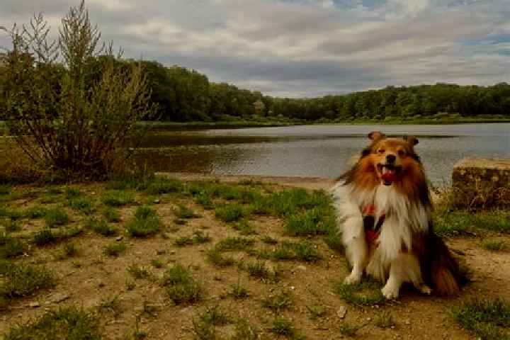 escort Brin-sur-Seille
