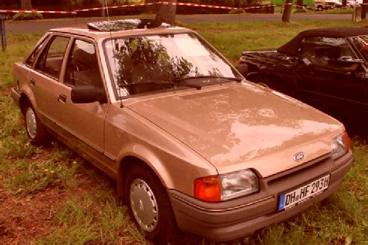 escort Bruchhausen