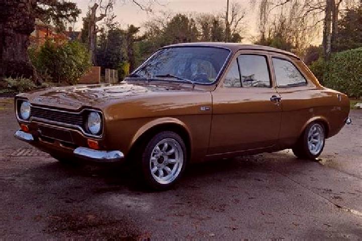 escort Bruin