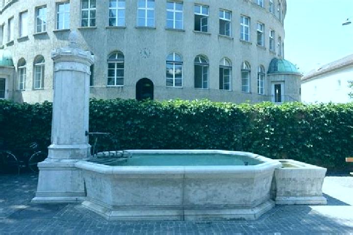 escort Brunnen