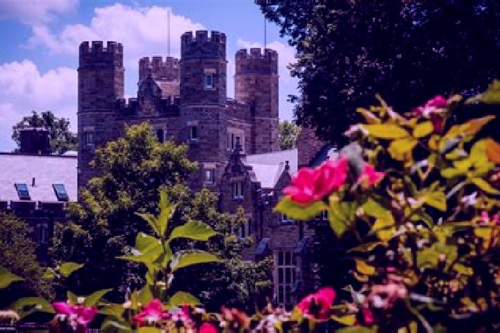 escort Bryn Mawr