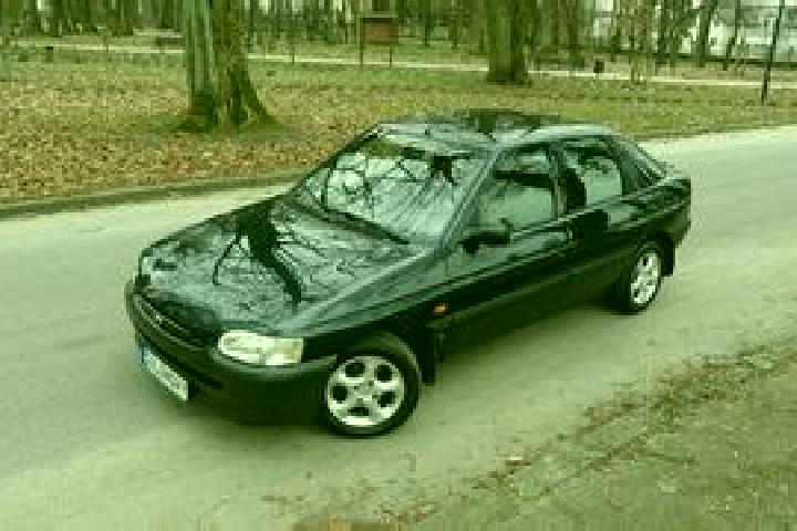 escort Brzeg Dolny