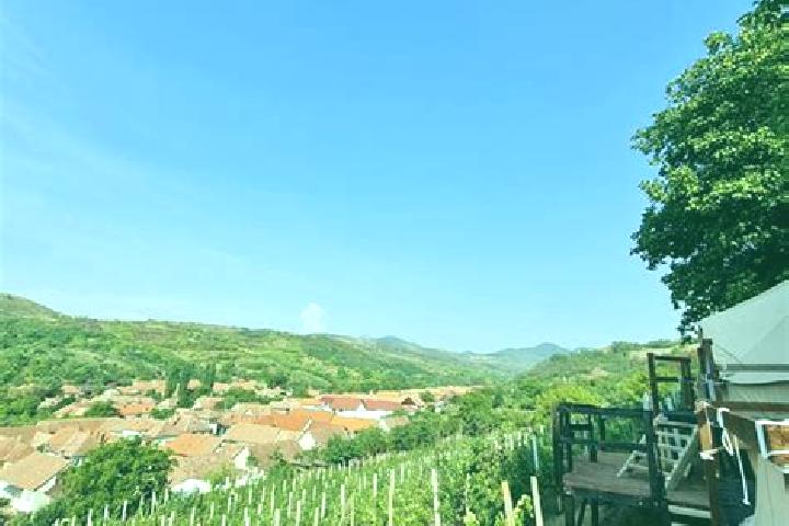 escort Bucerdea Vinoasa