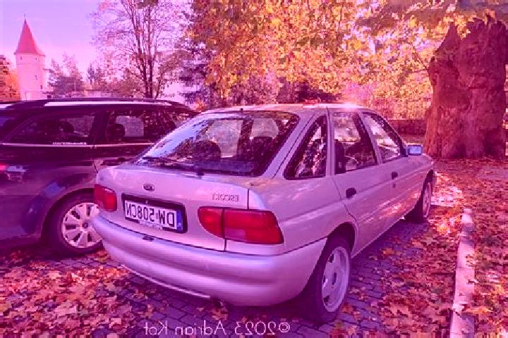 escort Buchach