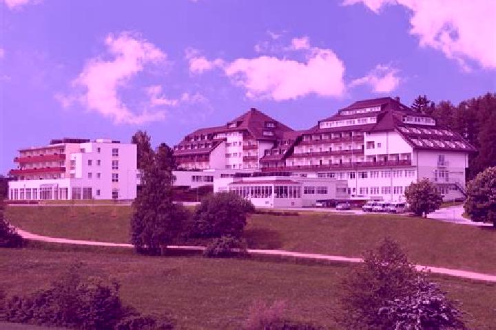 escort Buchenberg