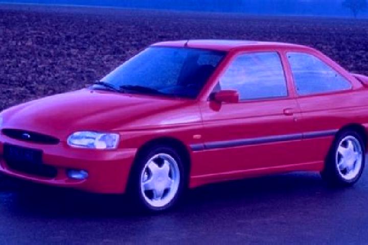 escort Buciegas