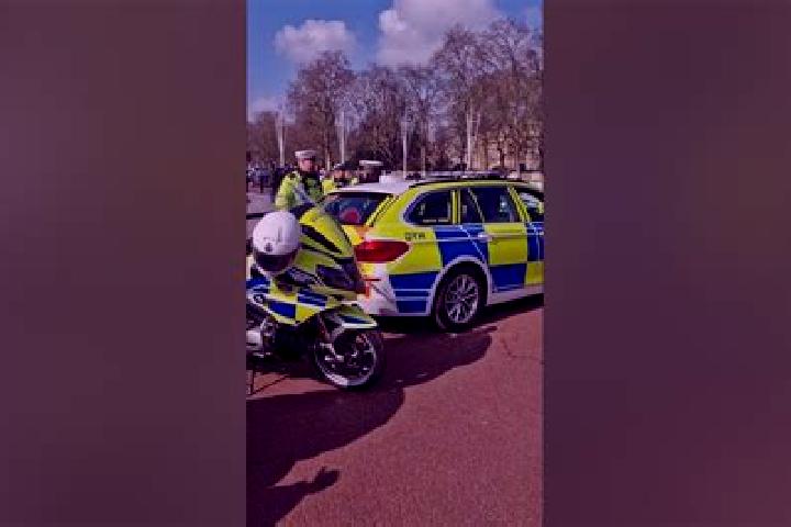 escort Buckingham