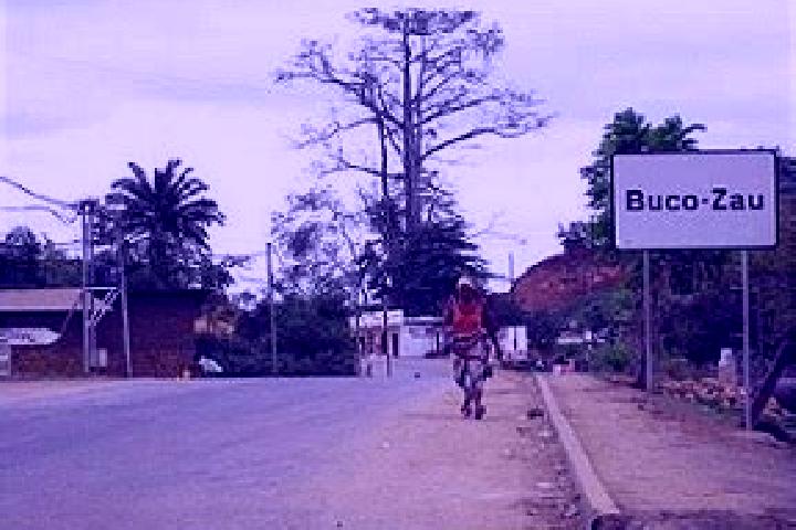 escort Buco Zau