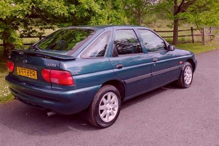 escort Bucovat