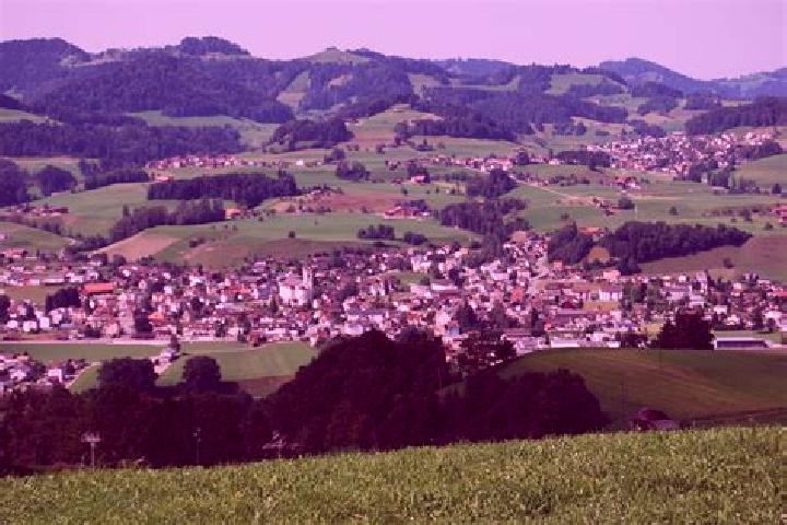 escort Buetschwil