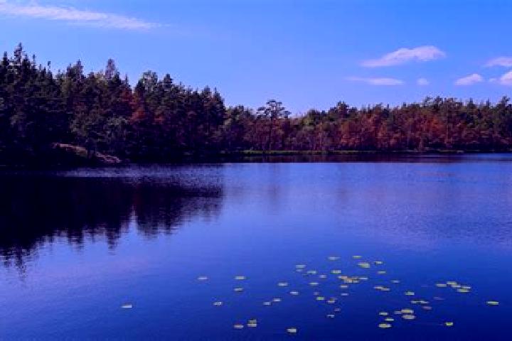 escort Buffalo Lake