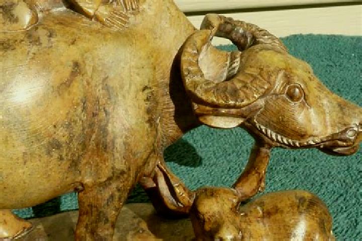 escort Buffalo Soapstone