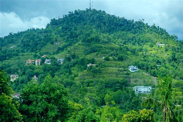 escort Bukit Tambun