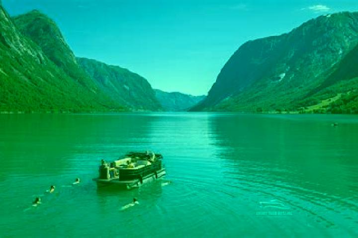 escort Burfjord