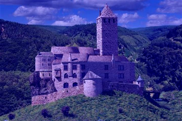 escort Burg