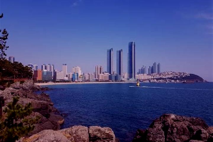 escort Busan