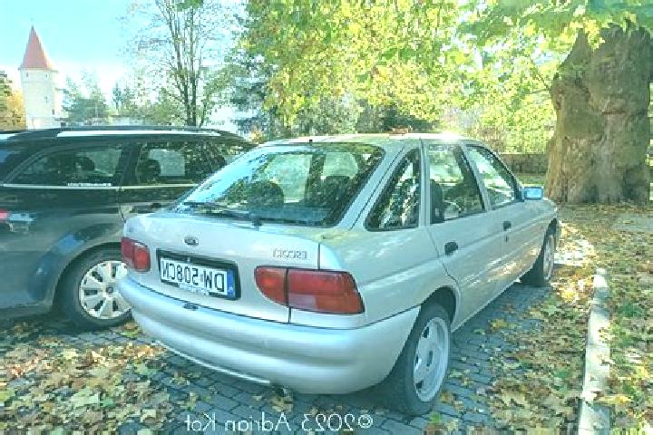 escort Busenberg