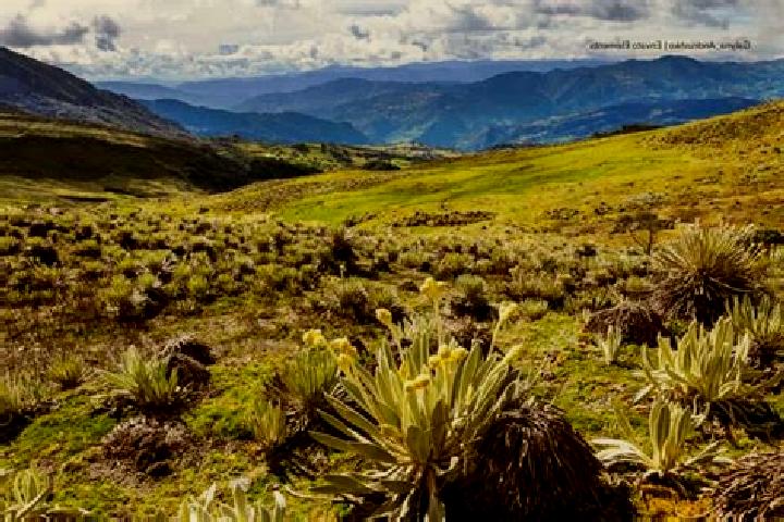 escort Bustillo del Paramo de Carrion