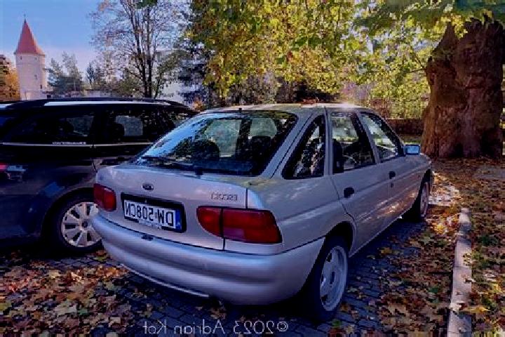 escort Butsynivka